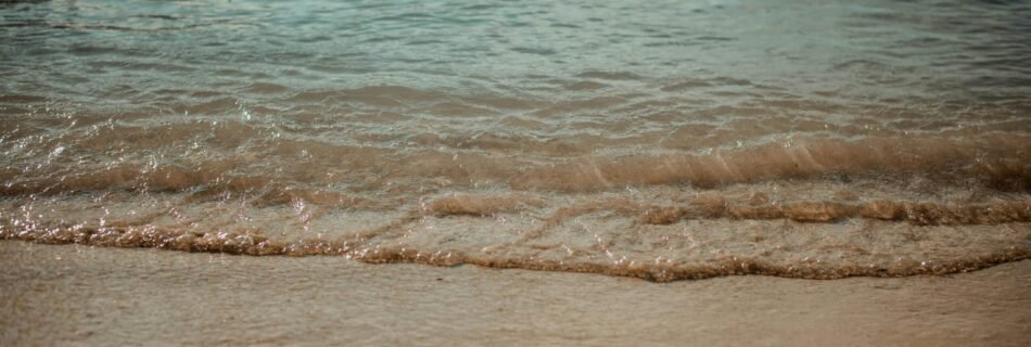 body of water during daytime